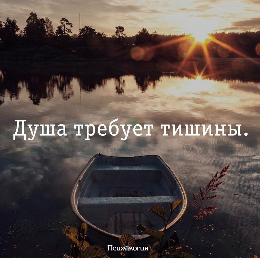 Тишина цитаты