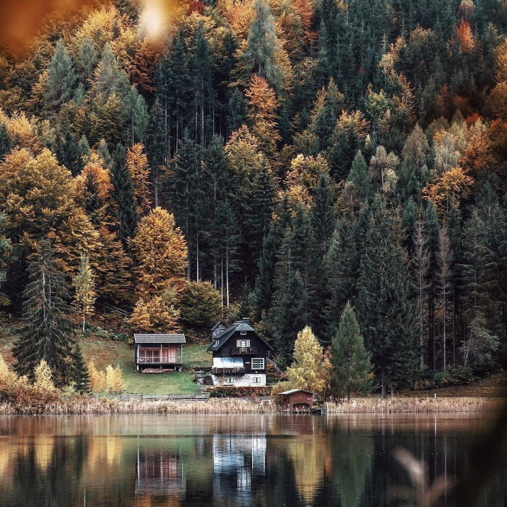 Тишина природы