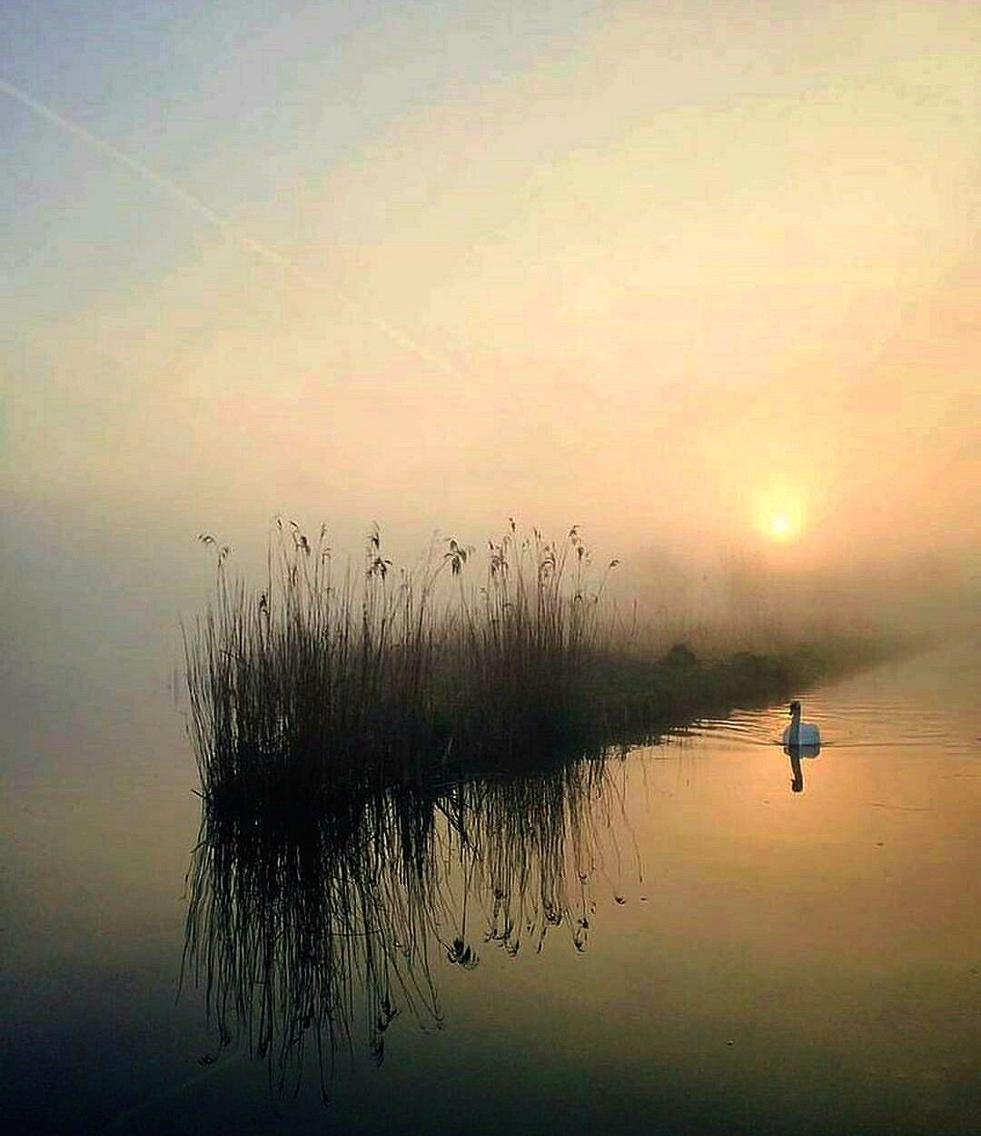 Тишина природы