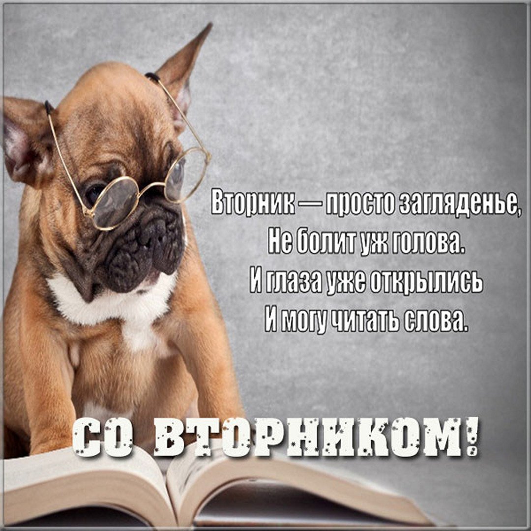 Афоризмы про вторник