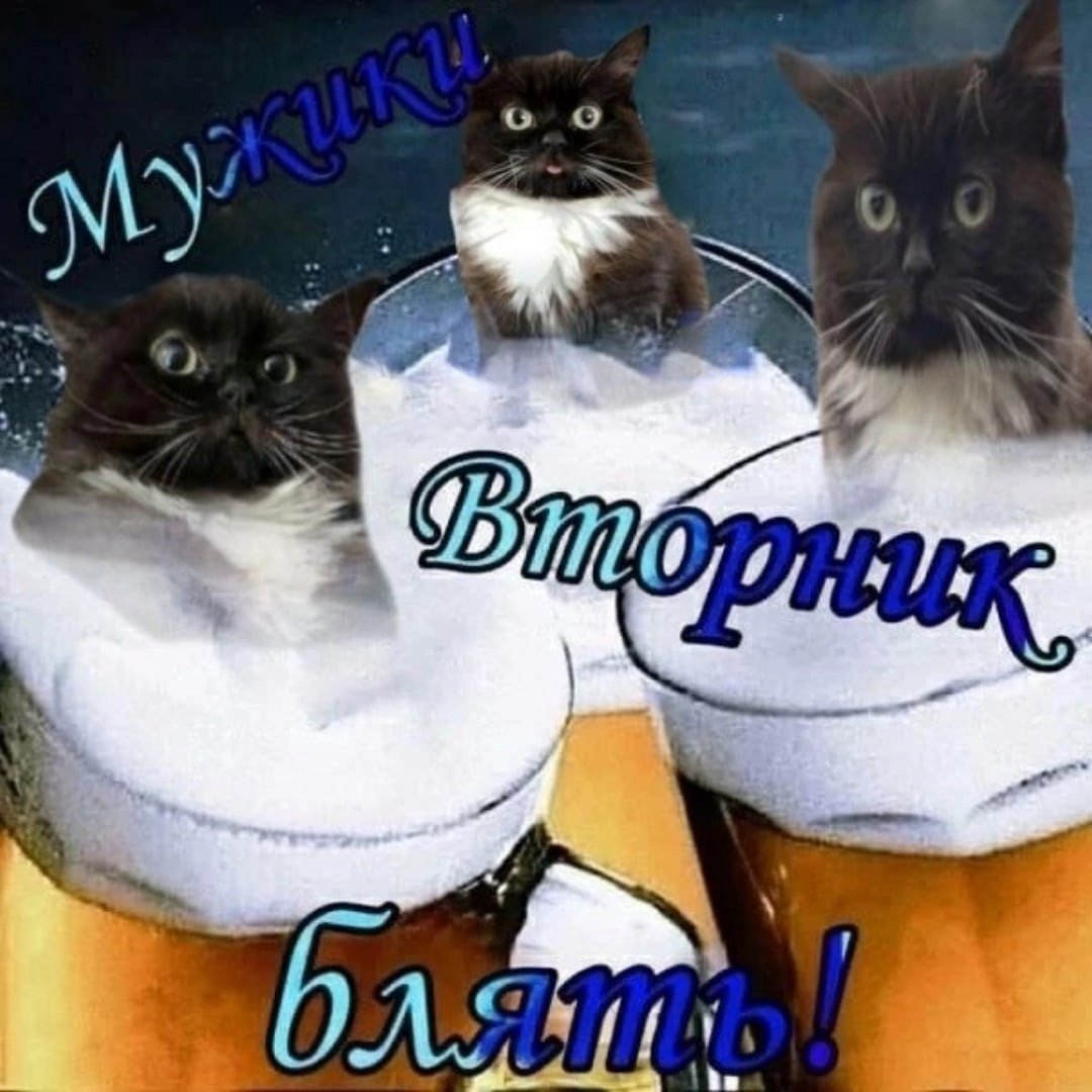 Завтра вторник