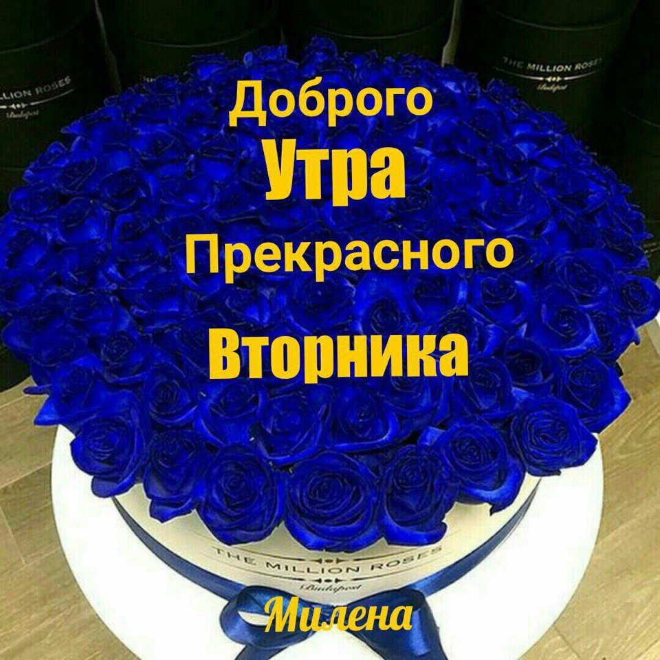 Вторник приколы