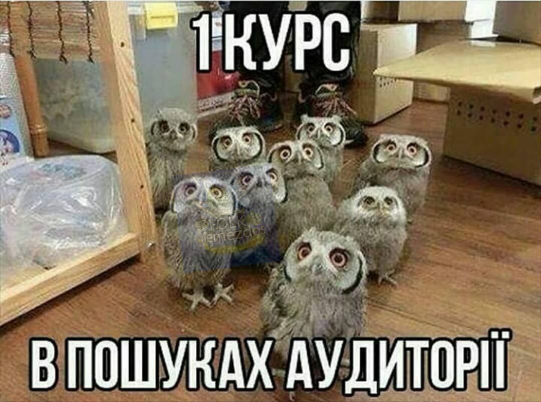 Первокурсники в поисках аудитории