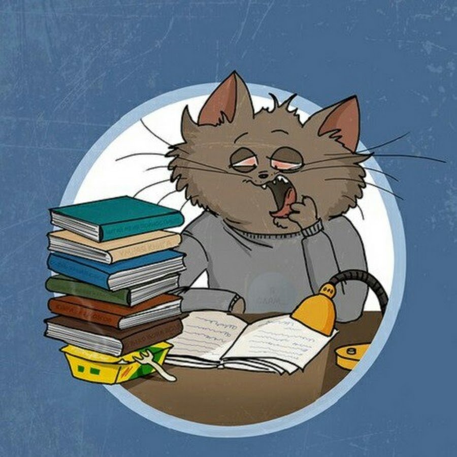 Котик студент