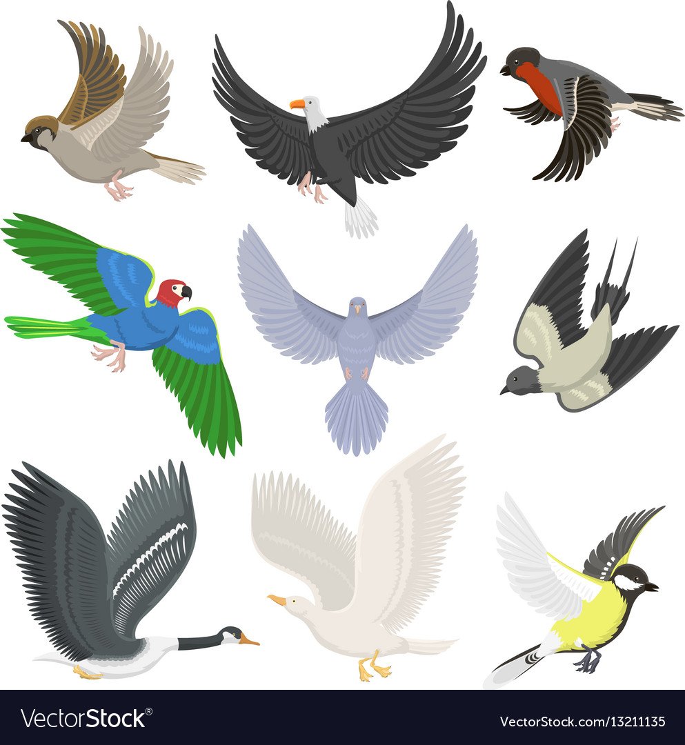 Декоративный рисунок птиц в полете