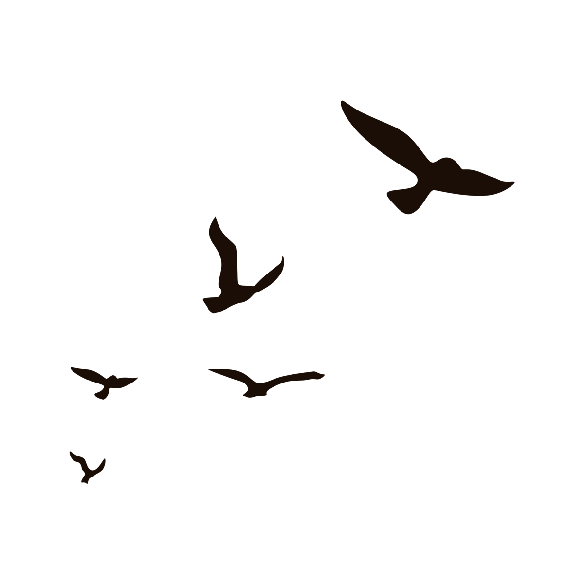 Силуэт летящей птицы