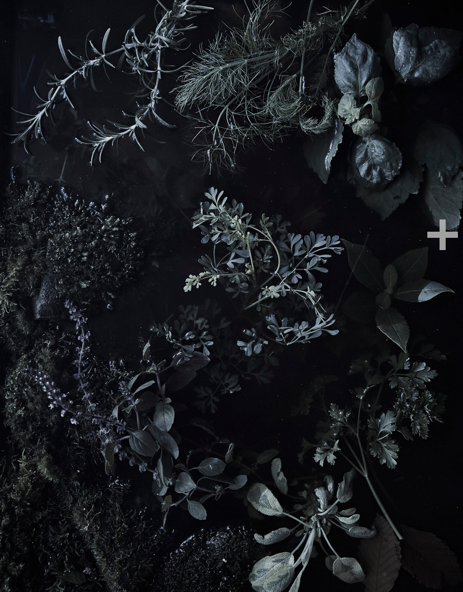 Картины в черном цвете