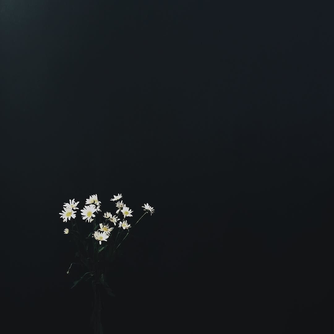 Силуэт Минимализм