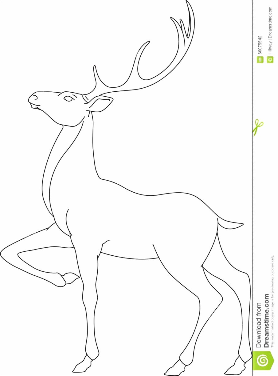 Очертания контуров оленя
