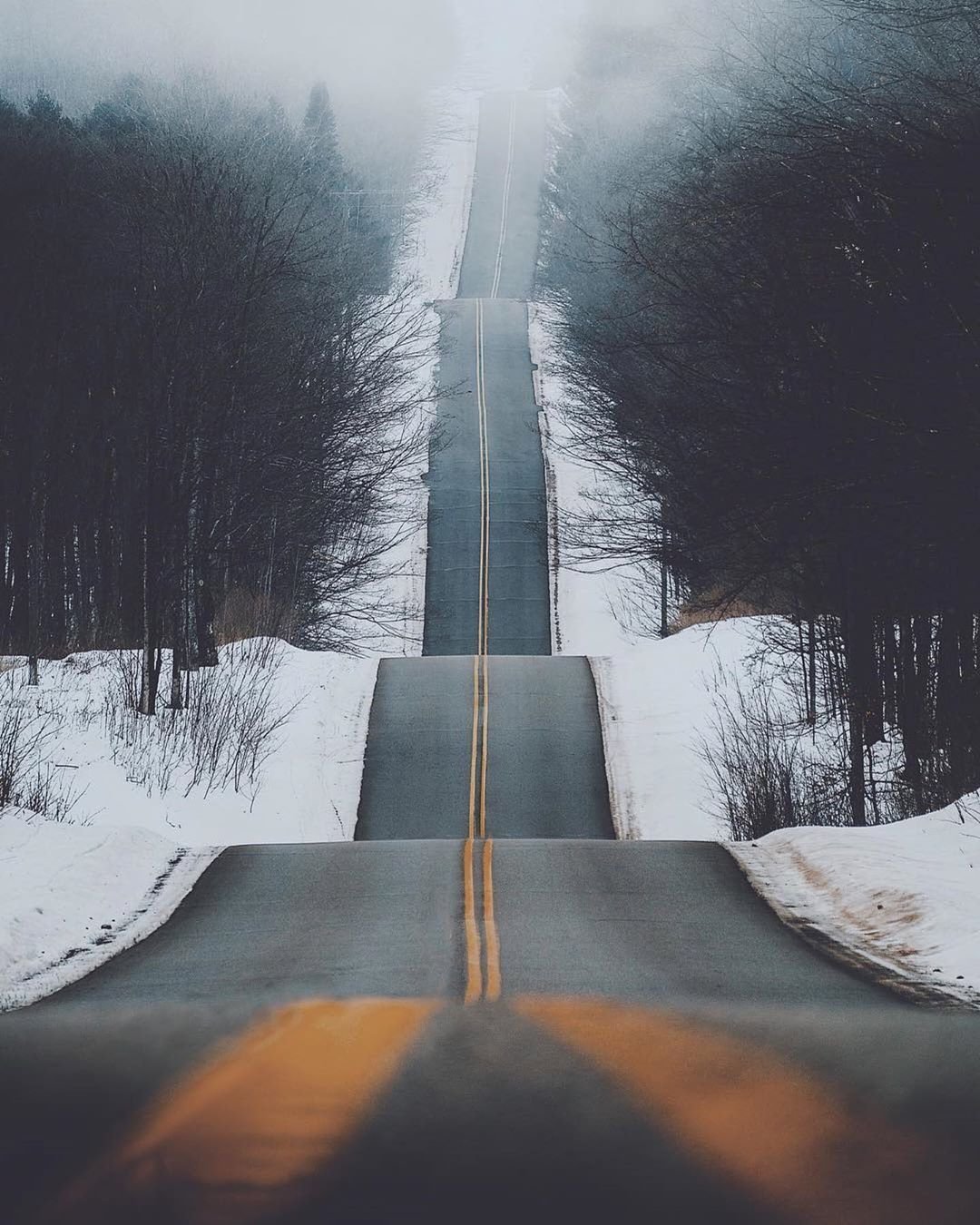 Жизненные дороги