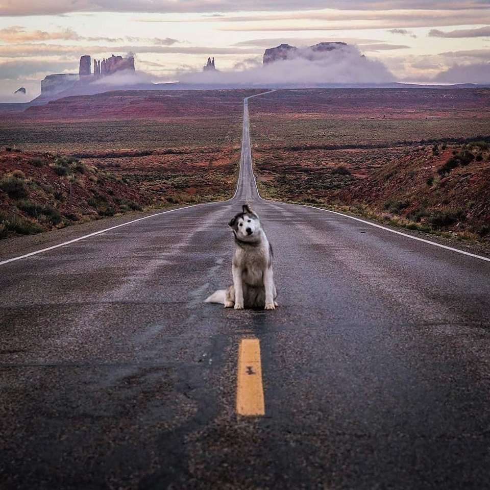 Идти вперед к цели