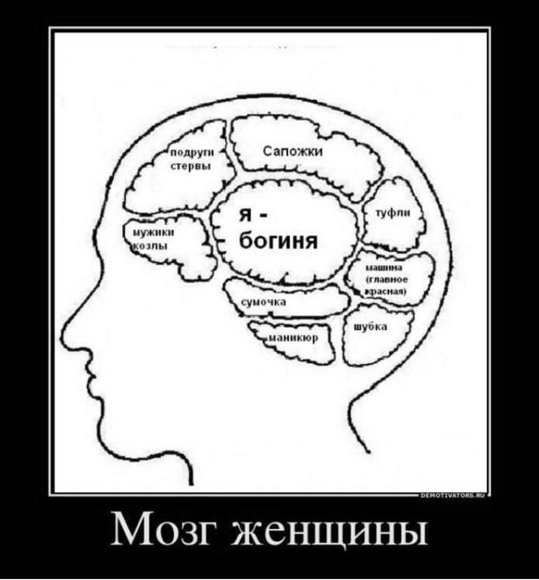 Мозговитый человек