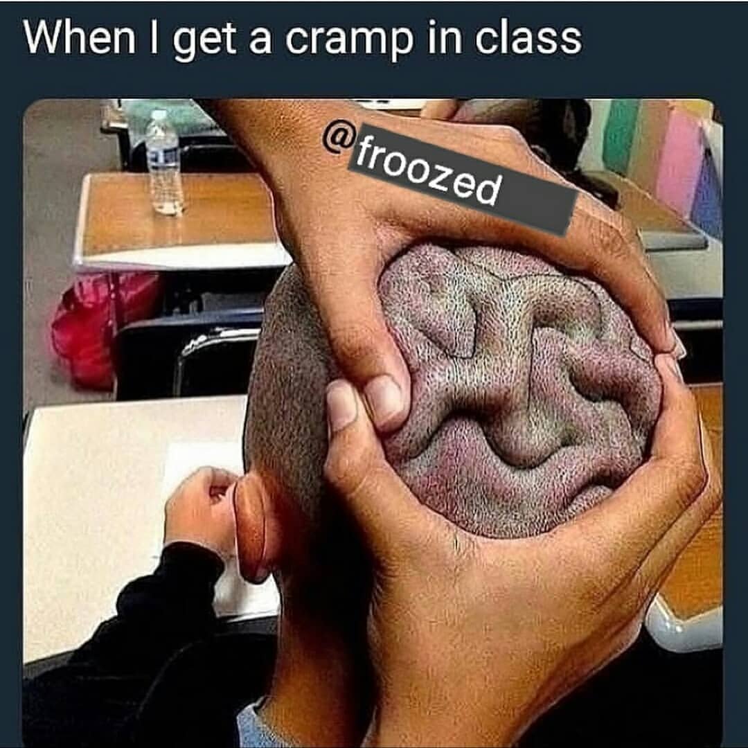 Мозг заставка