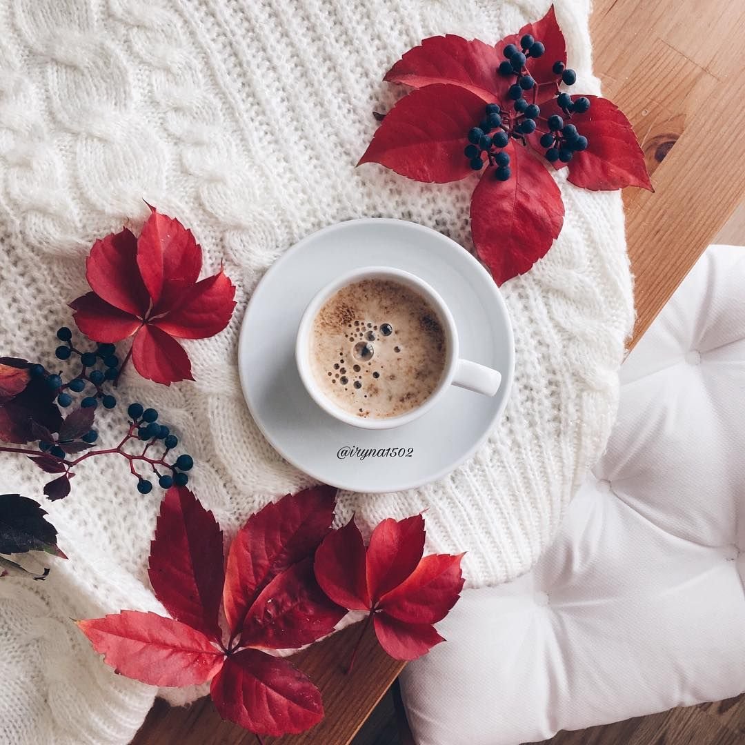 Открытки с добрым утром с цветами