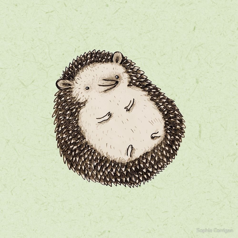 Милые ежики арт