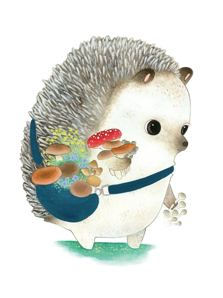 Еж картинки для детей дошкольного возраста