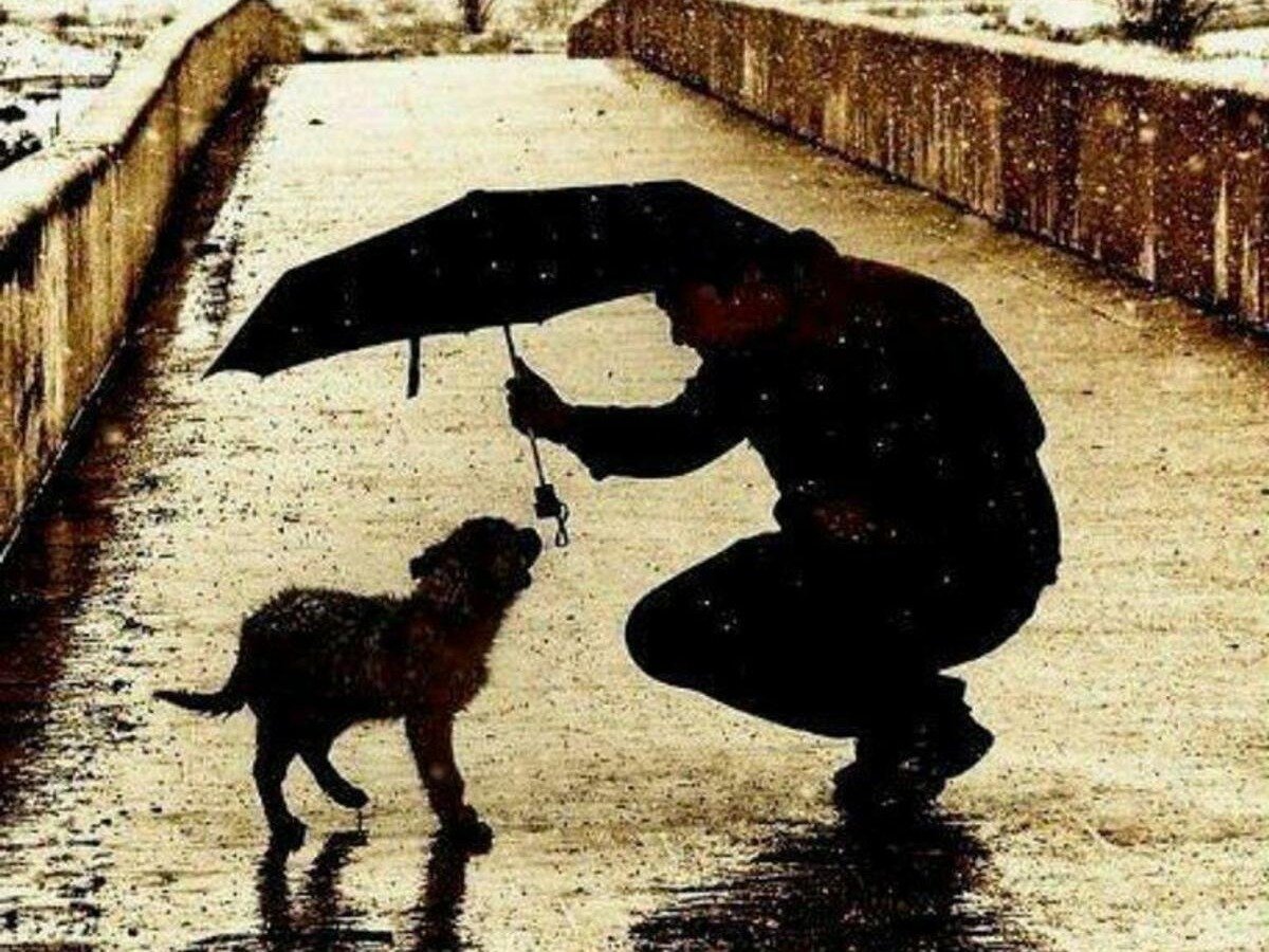 Добрые люди вокруг