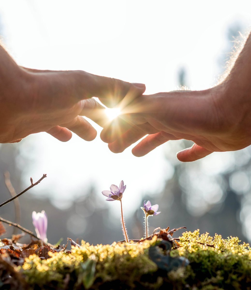 Прикосновение природы