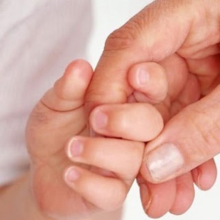 Бабочка на ладони