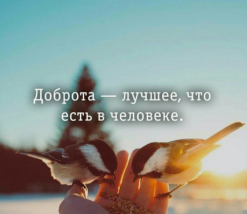 Птица любви