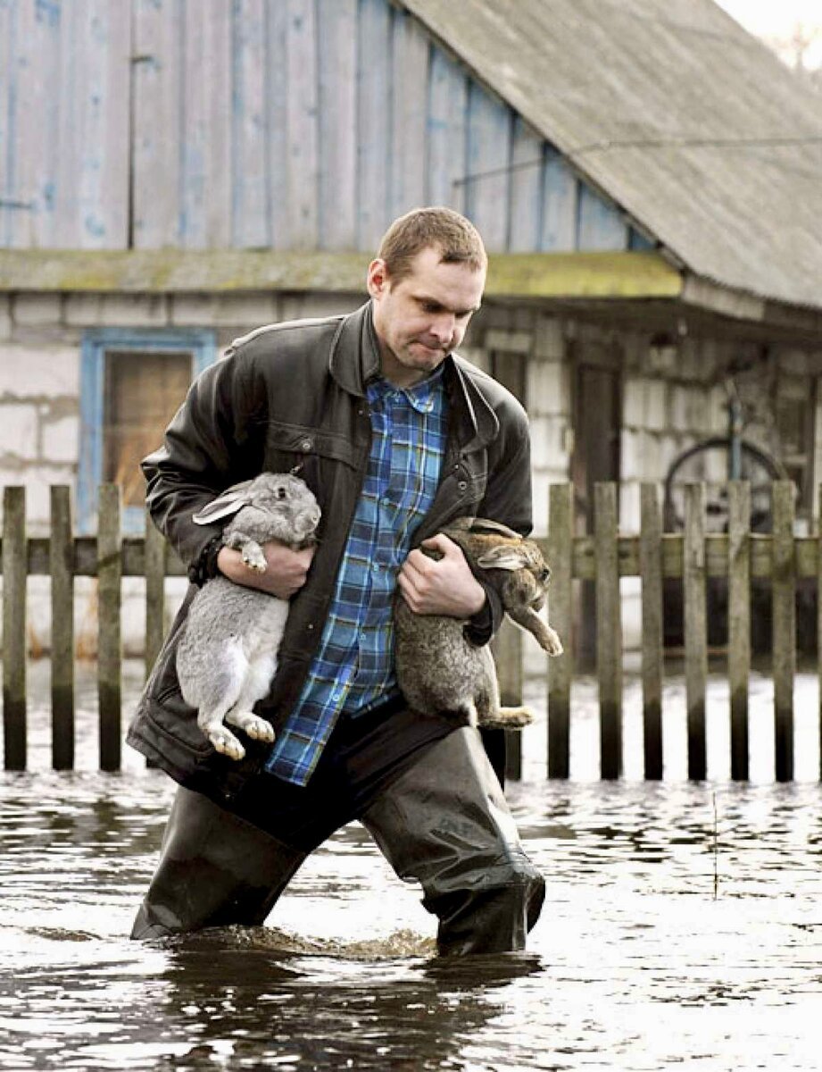 Верю в добро и добрых людей