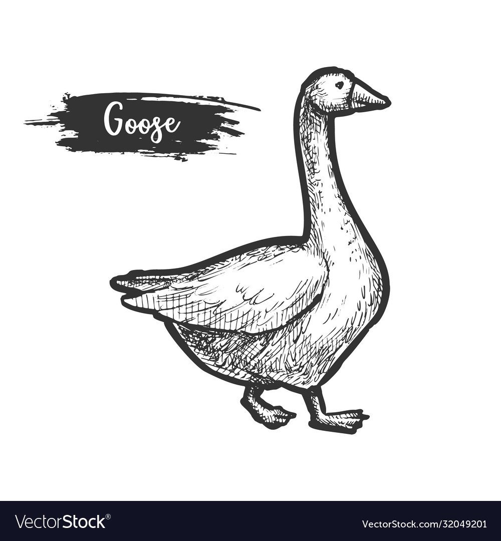 Референсы гуся