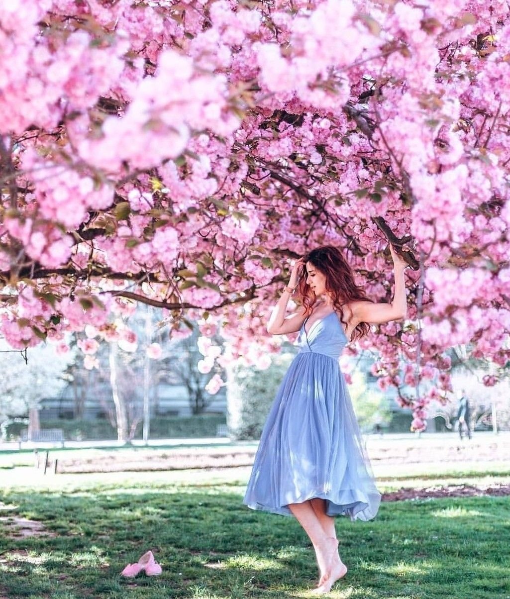 Сакура Вуди