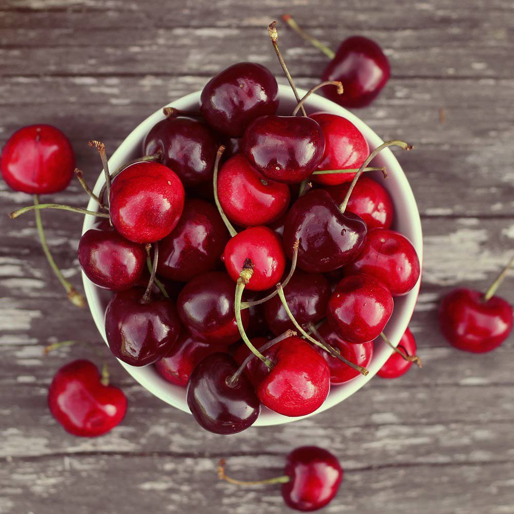 Сакура ветка цветение Весна