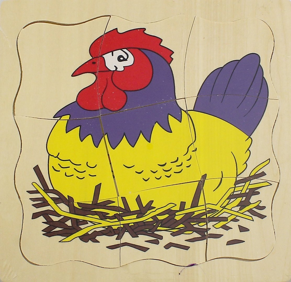 Пазлы птицы разрезные