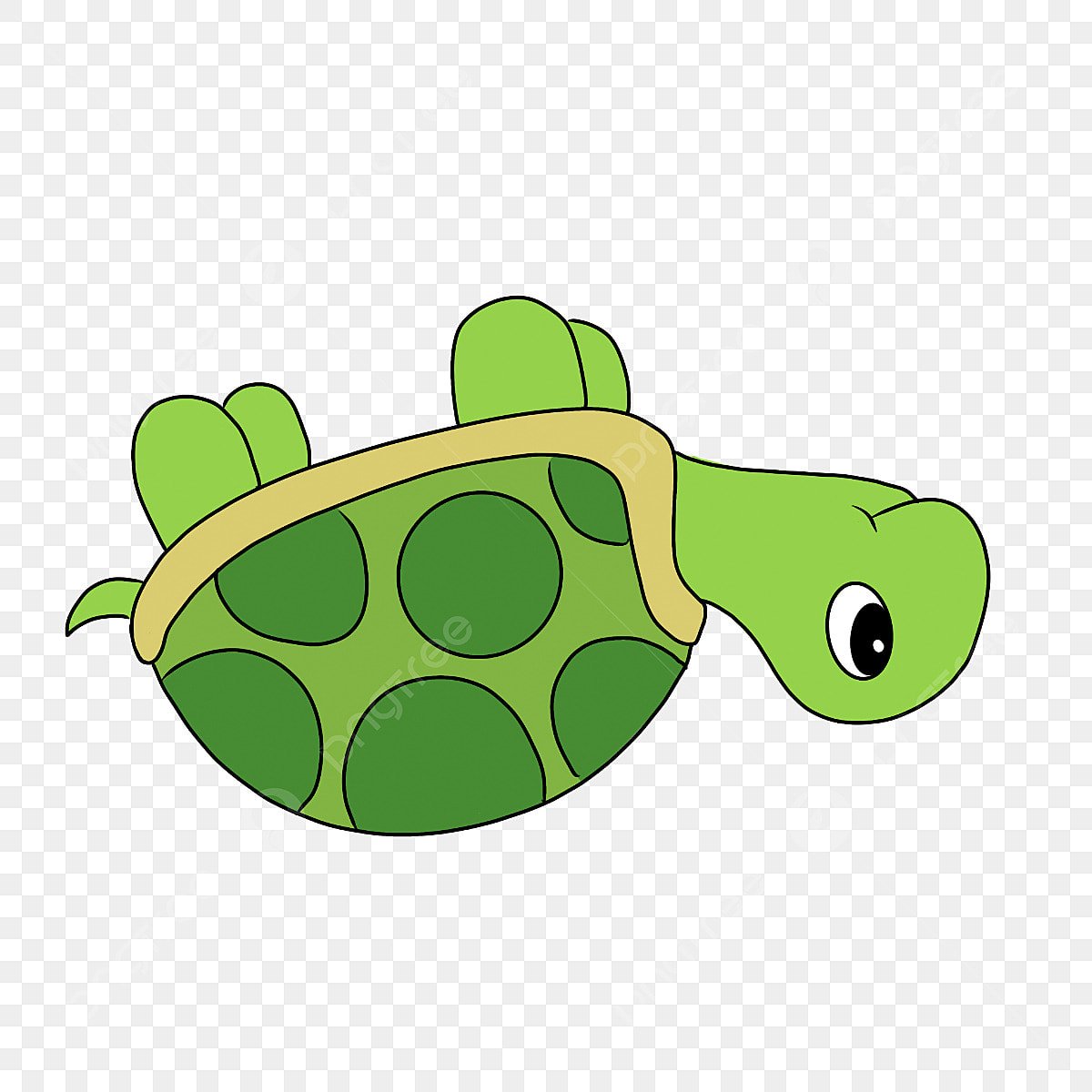 Рисовать черепаху в очках