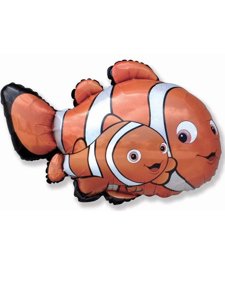 Рыба клоун вид сбоку