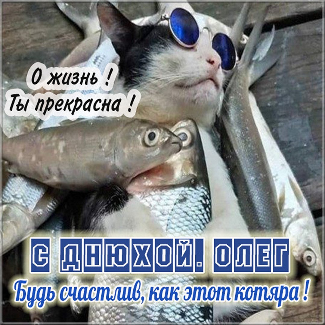 Прикольные открытки с днем рождения