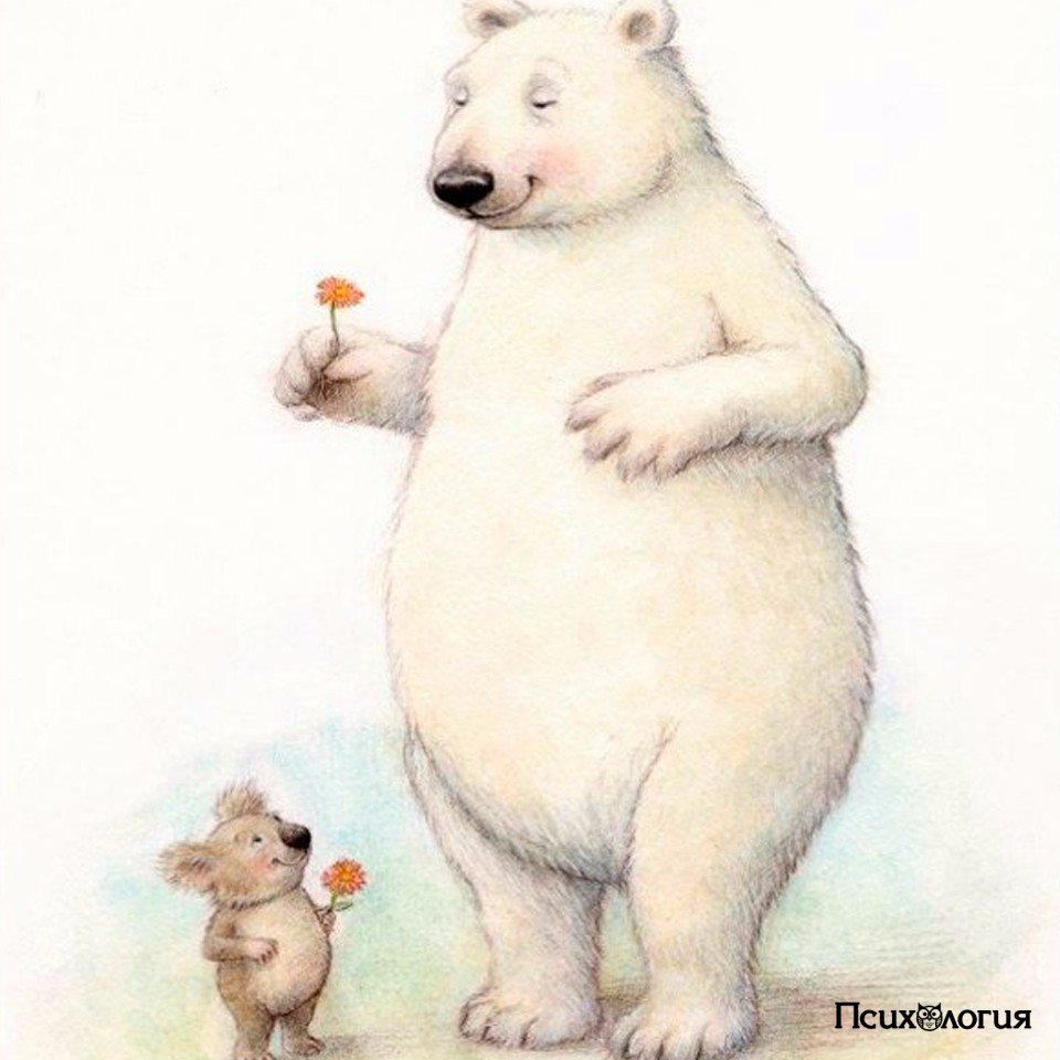 Забавный медведь рисунок