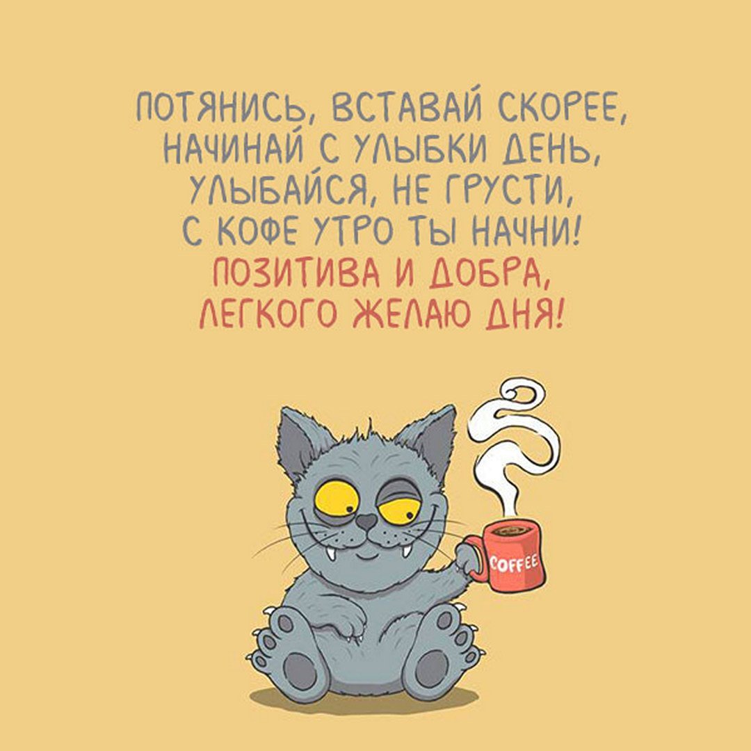 Утро понедельника приколы