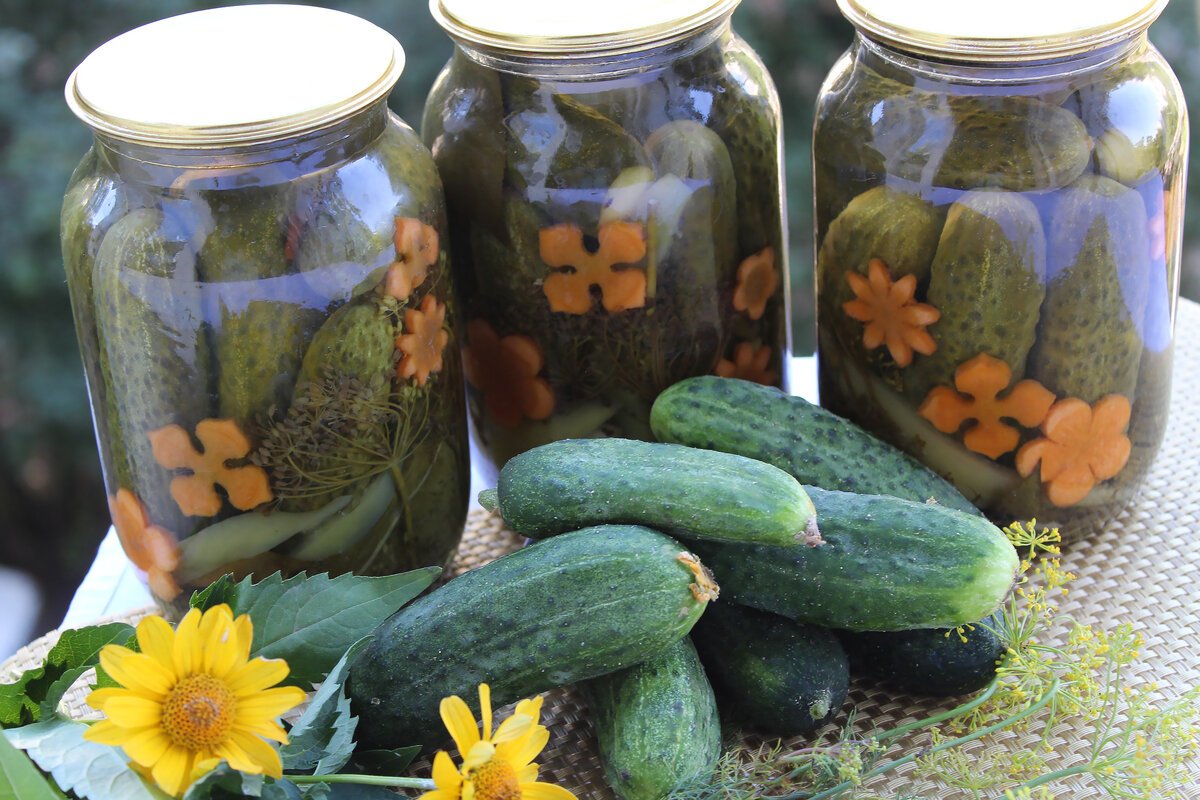 Векторная банка с огурцами