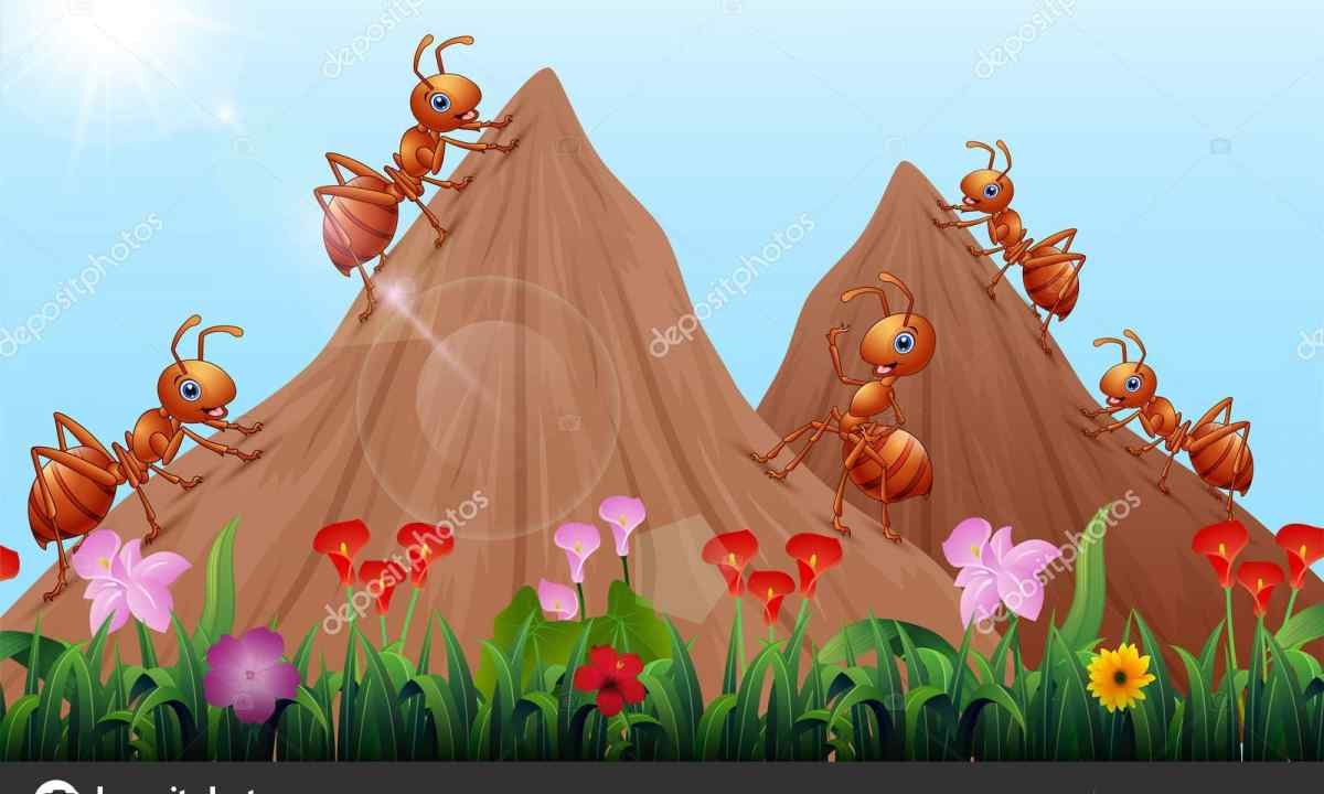 Муравейник мультяшный