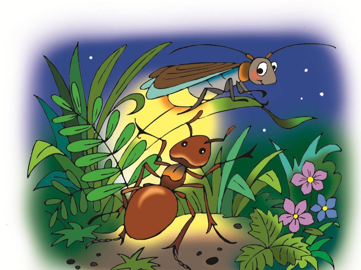 Ирис ревю муравей и мотылек