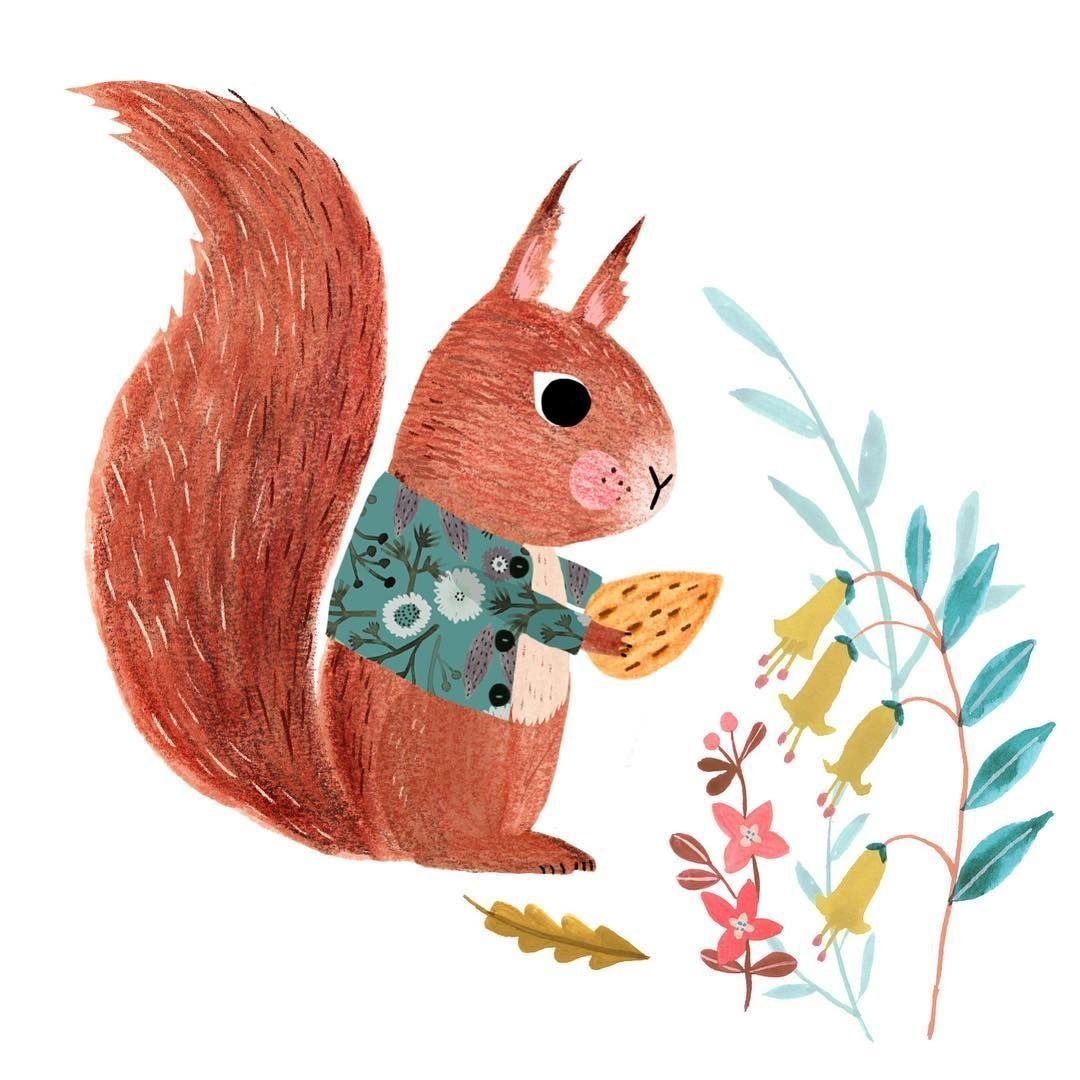 Белочка рисунок