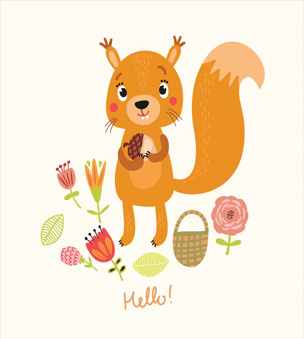 Милые иллюстрации белочки