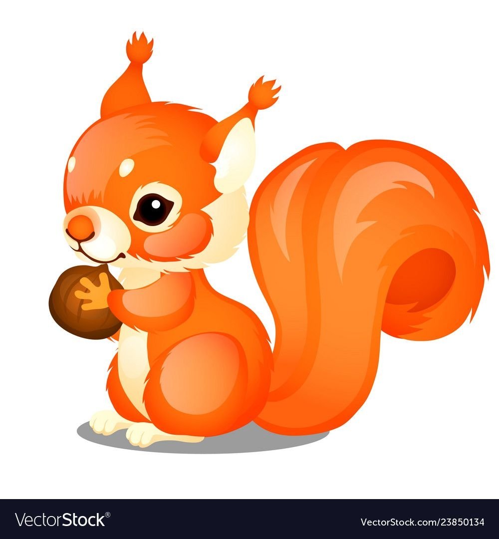 Белка рисунок