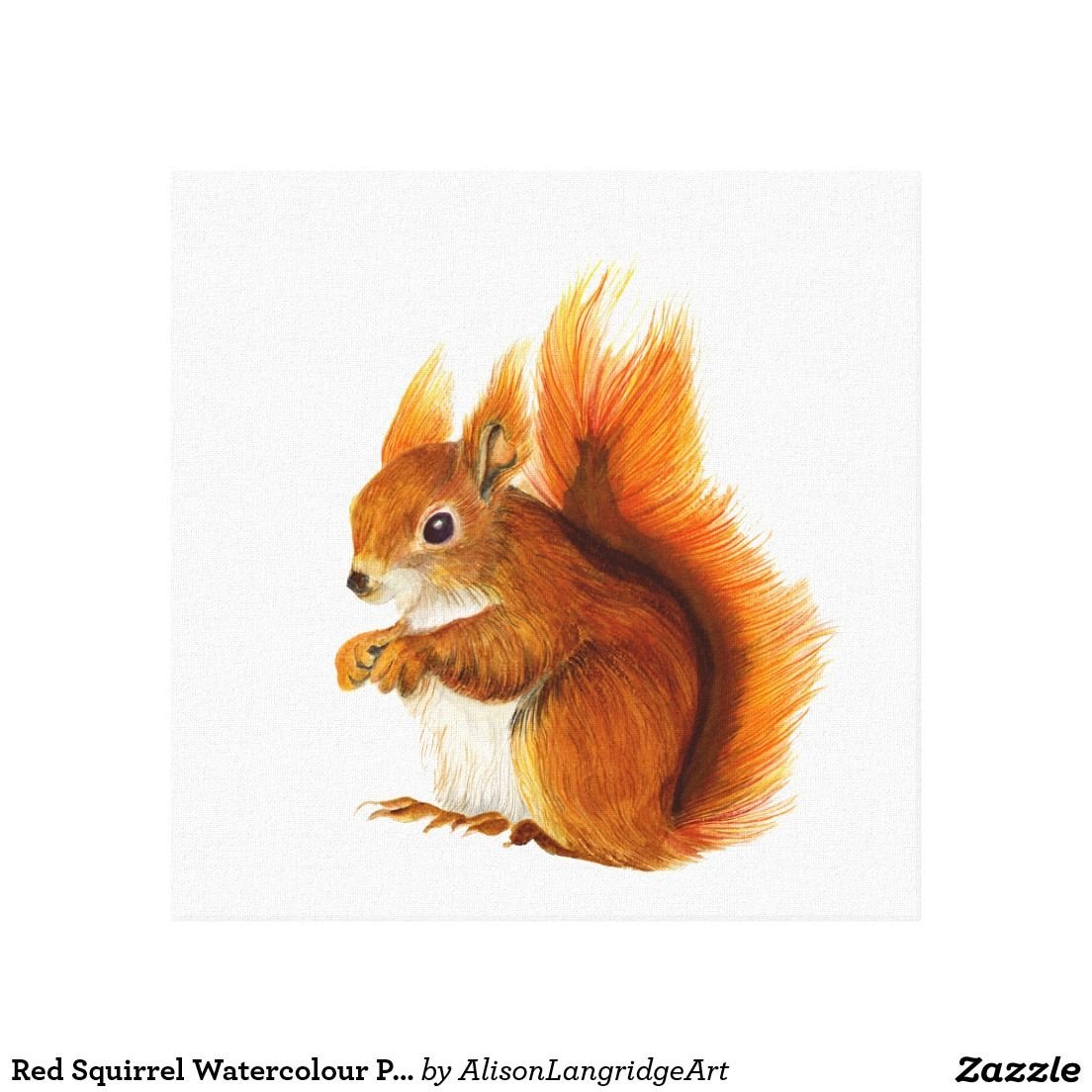 Forest animals Watercolor белка