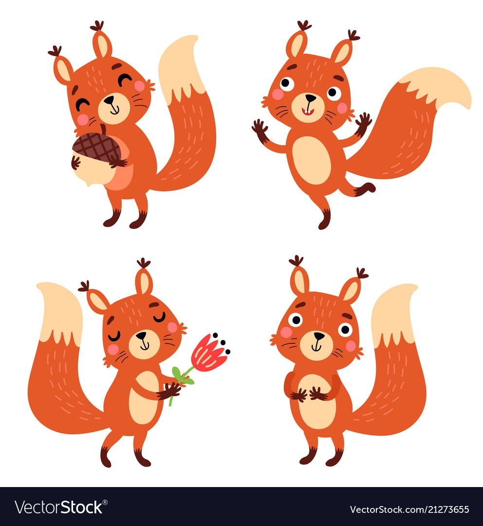 Милый Бельчонок вектор