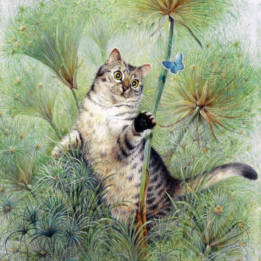 Лесли Энн Ивори кошки