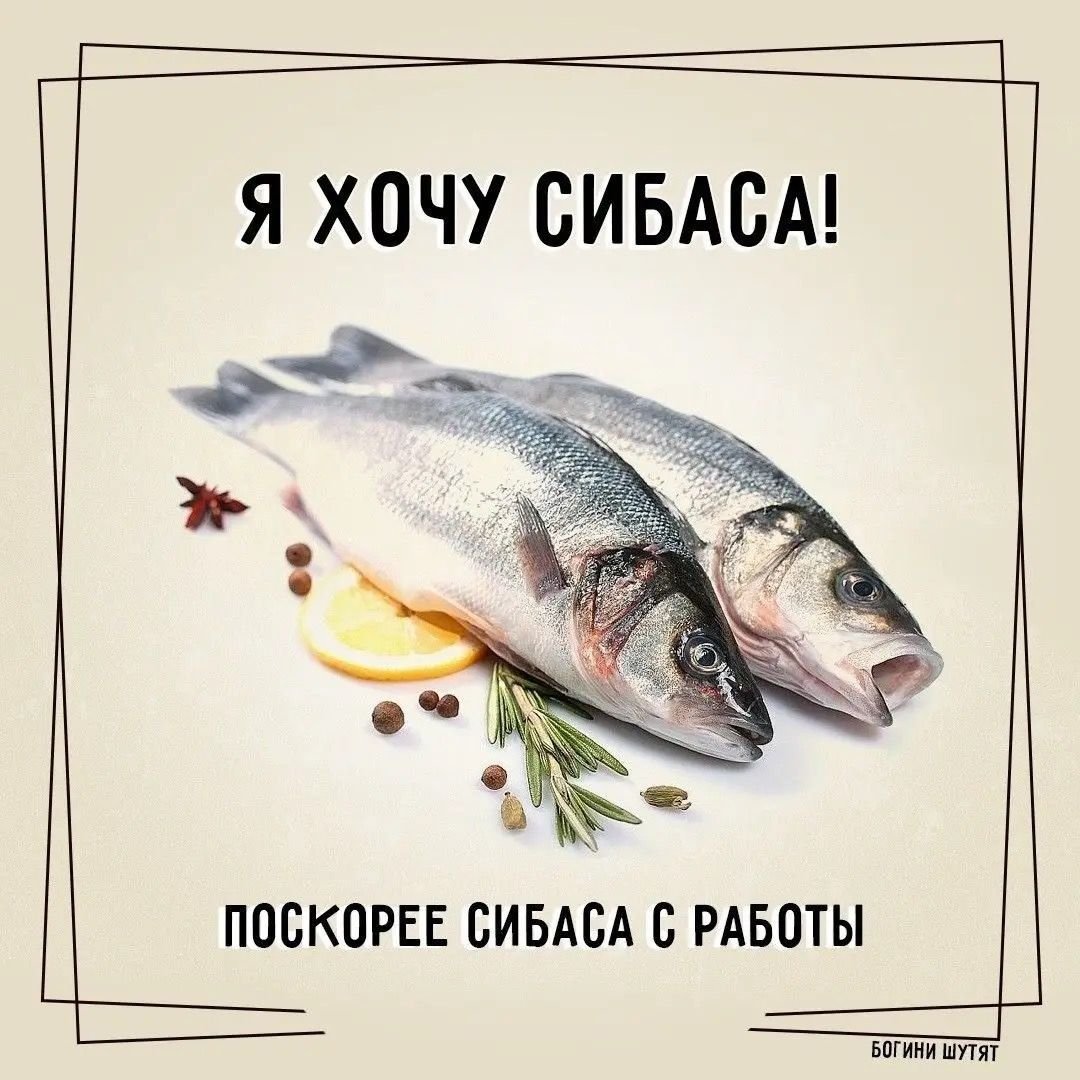 Я хочу сибаса