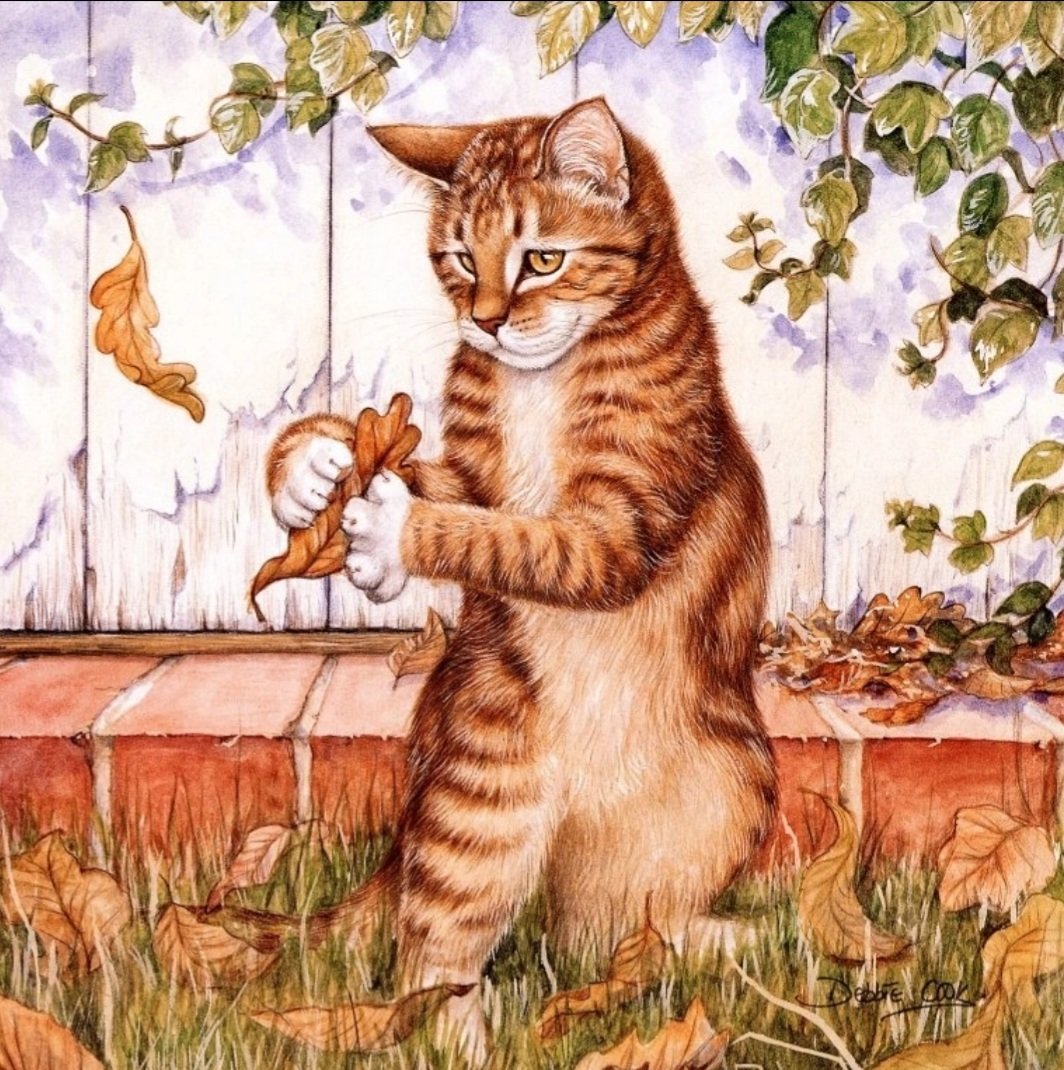 Художник Debbie Cook кошки