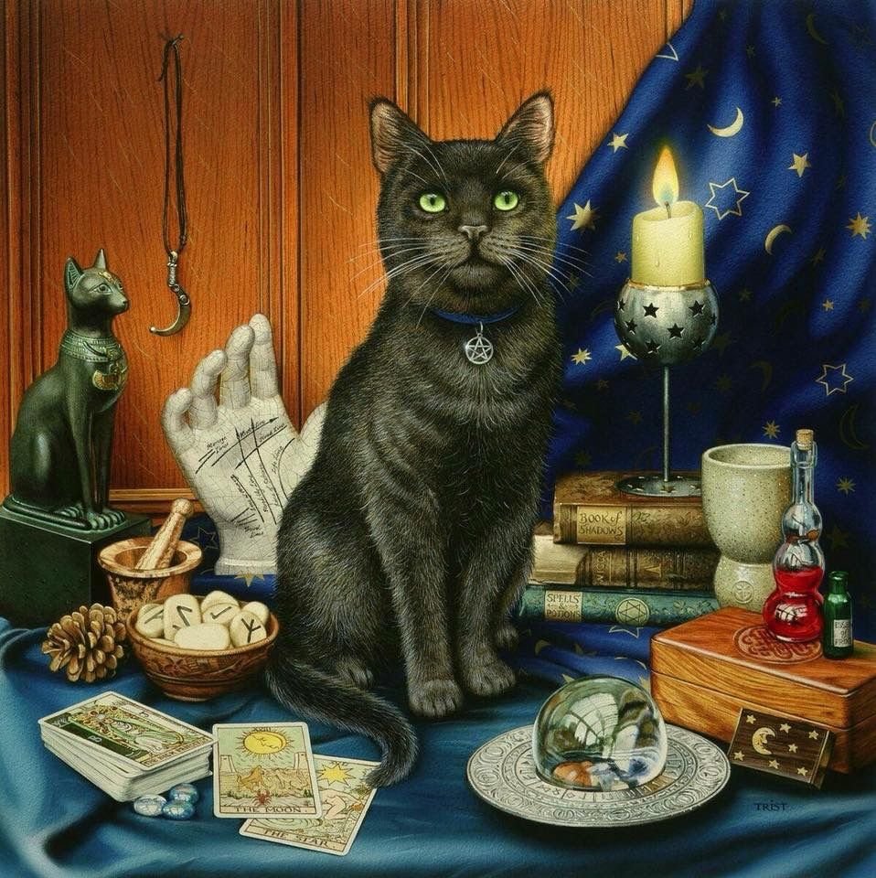 Питерские коты Марии Павловой