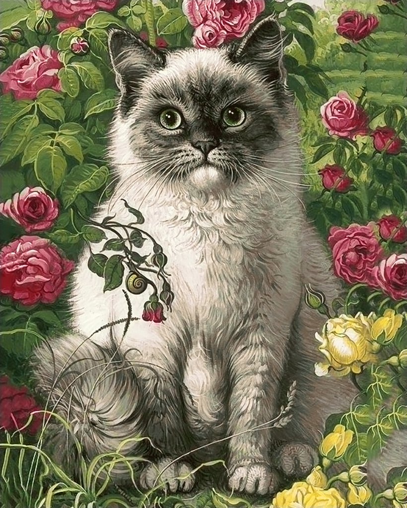 Гранни деревенский кот алмазная мозаика