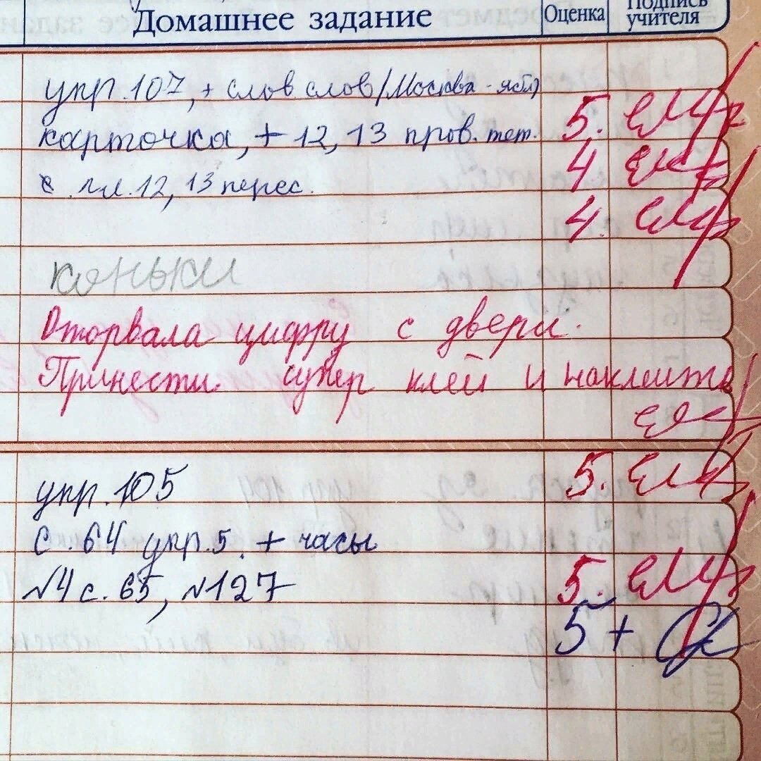 Замечания в школьных дневниках