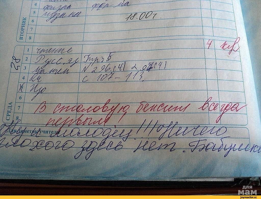 Смешные замечания в школьных дневниках
