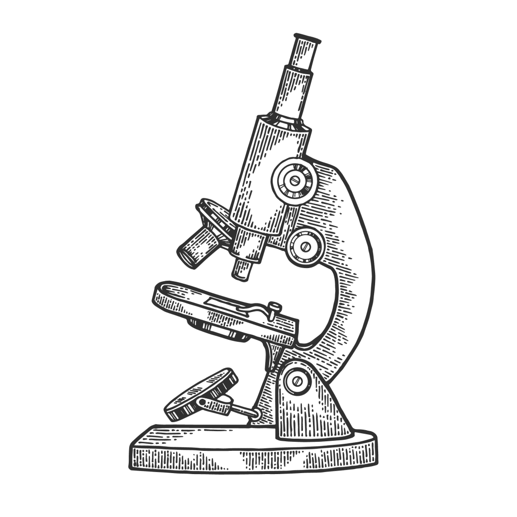 Рисунок микроскопа 5 класс